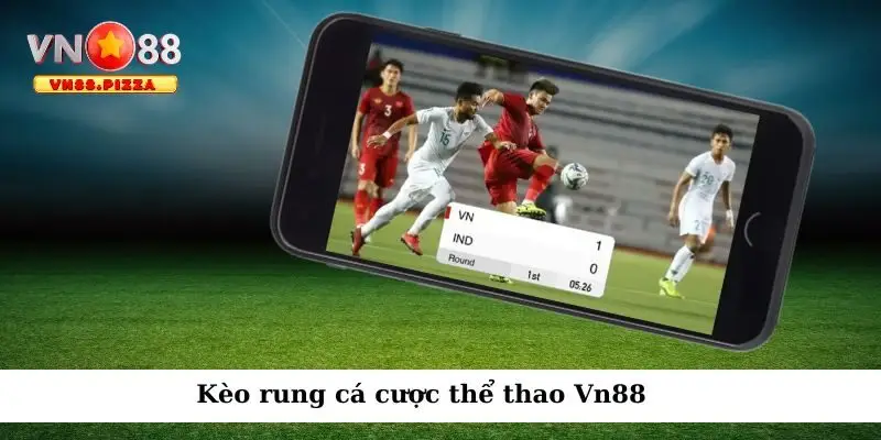Vn88 cung cấp nhiều hình thức chơi kèo rung