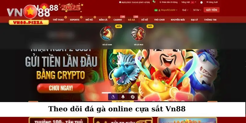 Theo dõi các trận đấu gà tại Vn 88