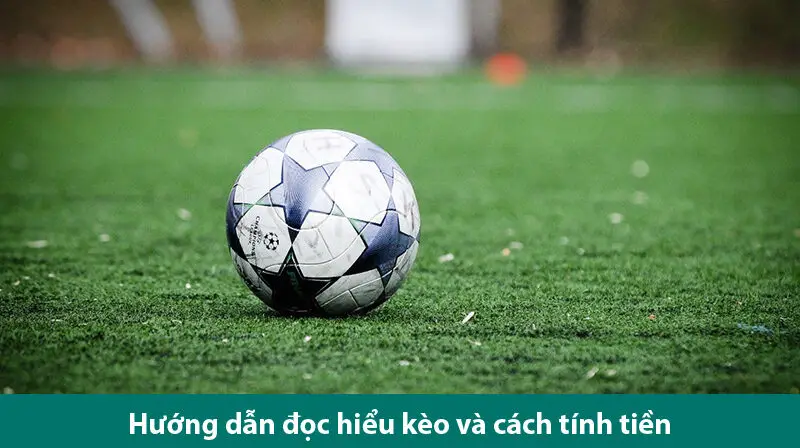 Cách đọc kèo chấp 1 trái và kinh nghiệm chơi hiệu quả từ chuyên gia