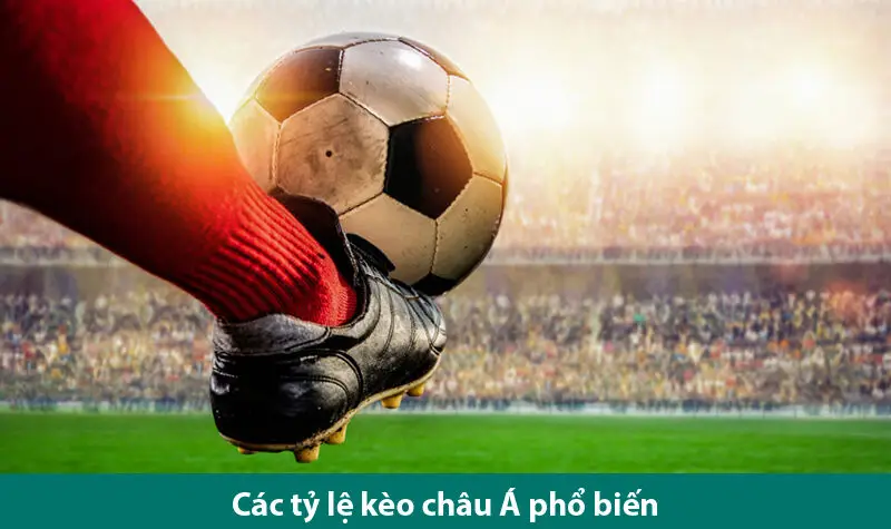 Tìm hiểu các loại kèo chấp Châu Á phổ biến và những điều cần lưu ý khi chơi 
