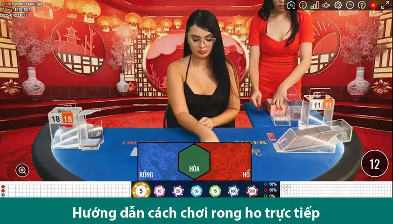 Hướng dẫn chơi và bí kíp đặt cược Rồng Hổ trực tiếp chi tiết