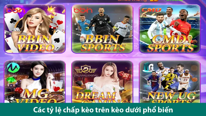 Khám phá kèo trên dưới bóng đá, các tỷ lệ chấp cùng các mẹo chơi chắc thắng