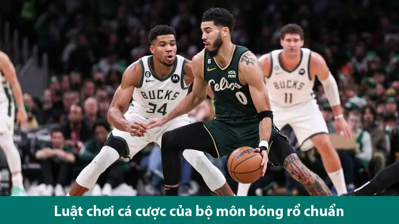 Khám phá luật cá độ bóng rổ và tìm hiểu các loại cược hấp dẫn 